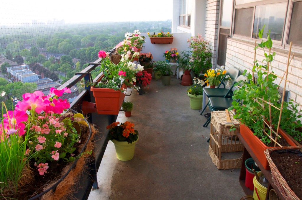 Beautiful-Balcony-looking-south-with-setting-summer-sun-1024x678