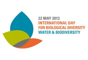 International-Day-of-Biodiversity-2013-300x206