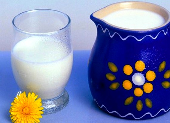 magyar tej