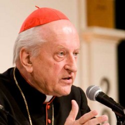 Botrány a Vatikánban: Rodé bíboros tagadja a gyermeknemzést
