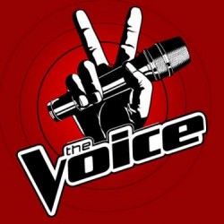 A The Voice mesterei