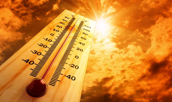 Nyári hőség – kánikulában különösen fontos szervezetünk számára az optimális hőmérséklet fenntartása