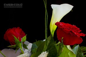 A virág Gyönyörű ékszer – feledhetetlen ajándék lehet (FKSZ Fotó: www.fksz.hu)